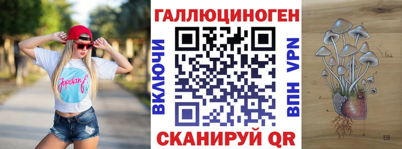 Галлюциногенные грибы Psilocybine cubensis Перевоз
